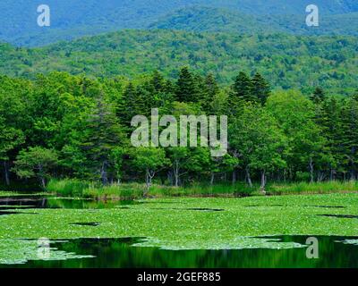 Shiretoko Five Lakes, Hokkaido, Japon Banque D'Images