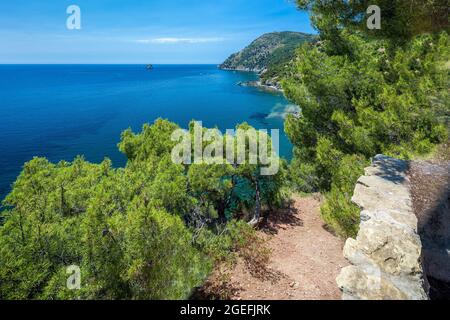 FRANCE, VAR (83) LA SEYNE-SUR-MER, MASSIF DU CAP SICIE, FABREGAS Banque D'Images