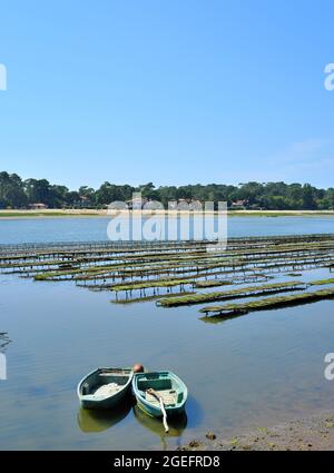 Soorts Hossegor (sud-ouest de la France) : le lac et les lits d'huîtres Banque D'Images