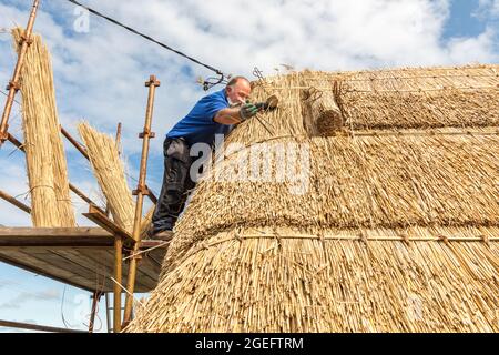 Fenit, Kerry, Irlande. 19 août 2021. Master thatcher, Richard Ó Loideoin travaillant à l'artisanat traditionnel de thatching sur un toit à Chapeltown près de Fenit, Co. Kerry, Irlande. - photo; David Creedon / Alamy Live News Banque D'Images