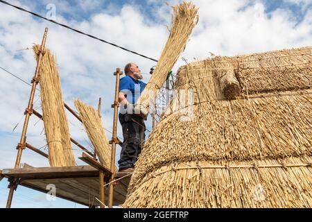 Fenit, Kerry, Irlande. 19 août 2021. Master thatcher, Richard Ó Loideoin travaillant à l'artisanat traditionnel de thatching sur un toit à Chapeltown près de Fenit, Co. Kerry, Irlande. - photo; David Creedon / Alamy Live News Banque D'Images