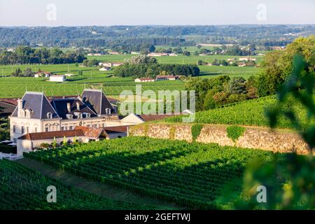 Vue d'ensemble des vignobles environnants du domaine viticole "Château de Fonplegade" à Saint Emilion (sud-ouest de la France) Banque D'Images