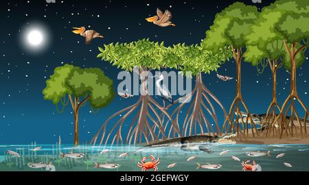 Paysage de la forêt de mangroves scène la nuit avec de nombreuses illustrations d'animaux différents Illustration de Vecteur