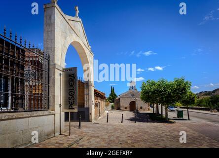 Domaine Pesquera de Duero. Ribera del Duero. Valladolid. Espagne Banque D'Images