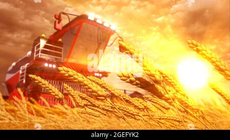 Moissonneuse-batteuse sur le champ de seigle ou de blé sur le coucher du soleil . rendu 3D industriel cg fictif Banque D'Images