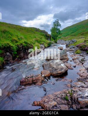 Ben Lawers, Écosse - 7 août 2021 : ruisseau, chute d'eau et arbre des Highlands dans l'après-midi lumière sur l'Allt bail' a'mhuilinn, Ben Lawers près de Glen Lyon Banque D'Images