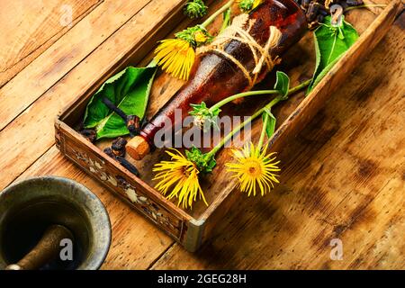 Teinture de guérison ou mélange de racines de panéélémpe. Elecampane en phytothérapie. Bouteille d'élixir à base d'herbes médicinales sauvages. Banque D'Images