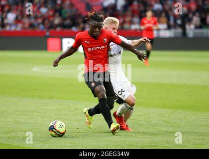 Jeremy Doku de Rennes, Edvard Tagseth de Rosenborg lors de la Ligue des conférences européennes de l'UEFA, Play-offs, 1ère jambe entre le Stade Rennais et Rosenborg BK le 19 août 2021 au Parc Roazhon de Rennes, France - photo Jean Catuffe / DPPI Banque D'Images