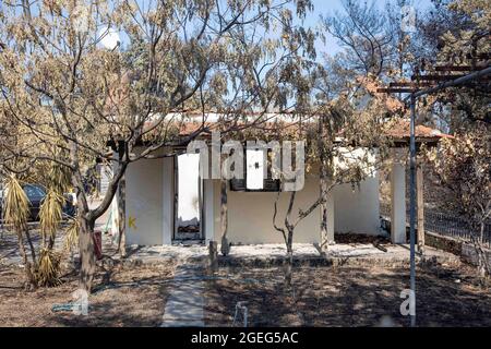 Île d'Evia, Grèce. 19 août 2021. Vue d'une maison brûlée près d'Agia Anna.les séquelles des feux de forêt dans la partie nord de l'île grecque d'Evia (Euboea ) où le feu a continué à brûler presque pendant 10 jours, la forêt brûlante et les bâtiments. Près de 100,000 hectares de forêt ont brûlé dans des incendies grecs selon les services européens d'urgence de Copernic. Crédit : SOPA Images Limited/Alamy Live News Banque D'Images