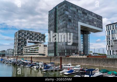 Les bâtiments de grue à Cologne Sud, sur le Rhin, à l'ancien port de douane, Rheinau-Sporthafen Cologne, immeubles résidentiels et de bureaux, Cologne, N Banque D'Images