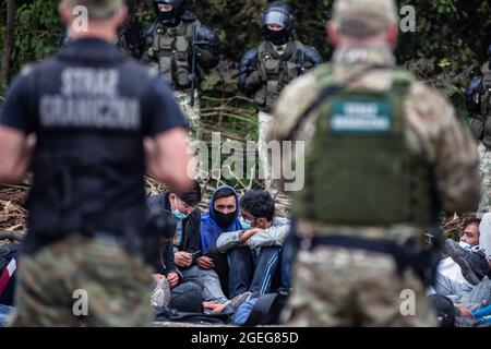 Des gardes-frontières sont vus pour protéger les réfugiés afghans à la frontière polonaise et biélorusse. Le nombre croissant de personnes qui tentent de traverser la Pologne transforme les migrations en une question politique intérieure en Pologne. Dans un village frontalier d'Usnarz Gorny, il y a un écart entre les gardes-frontières biélorusses et polonaises avec plus de 30 000 réfugiés afghans bloqués au milieu. Les réfugiés y sont restés depuis près de deux semaines car ils ne sont pas autorisés à entrer en Pologne ou à rentrer au Bélarus. Banque D'Images