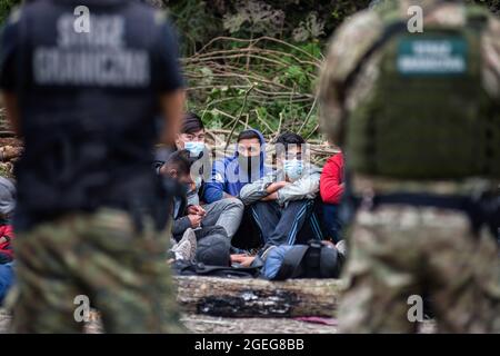 Des gardes-frontières sont vus pour protéger les réfugiés afghans à la frontière polonaise et biélorusse. Le nombre croissant de personnes qui tentent de traverser la Pologne transforme les migrations en une question politique intérieure en Pologne. Dans un village frontalier d'Usnarz Gorny, il y a un écart entre les gardes-frontières biélorusses et polonaises avec plus de 30 000 réfugiés afghans bloqués au milieu. Les réfugiés y sont restés depuis près de deux semaines car ils ne sont pas autorisés à entrer en Pologne ou à rentrer au Bélarus. La Pologne a déployé des centaines de troupes le long de sa frontière avec le Bélarus pour arrêter l'arrivée de migrants cherchant à entrer dans le décompte Banque D'Images