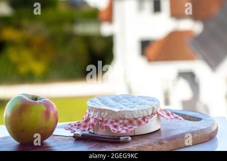 Collection de fromages, fromages français de la région normande, camembert rond servi sur la terrasse extérieure par beau temps Banque D'Images