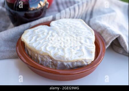 Collection de fromages, fromages français de la région normande, neufchatel en forme de coeur gros plan Banque D'Images