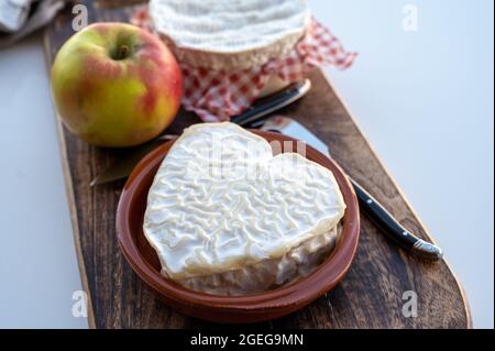 Collection de fromages, fromages français de la région normande, neufchatel en forme de coeur gros plan Banque D'Images