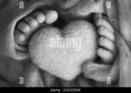 Photo des jambes d'un nouveau-né. Pieds de bébé recouverts d'un fond isolé en laine. Banque D'Images