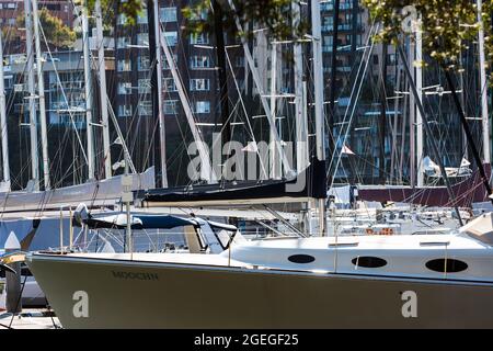 Sydney, Australie. Vendredi 20 août 2021. Vues générales sur les yachys amarrés dans le port de Sydney au Rushcutters Bay Park. Le programme d'éclusage de Sydney a été prolongé jusqu'au 30 septembre dans la grande région de Sydney, le nombre de cas de déformation Delta COVID-19 continuant d'augmenter. Les masques faciaux sont désormais obligatoires à l'extérieur dans toute la Nouvelle-Galles du Sud, sauf s'ils font Crédit : Paul Lovelace/Alamy Live News Banque D'Images