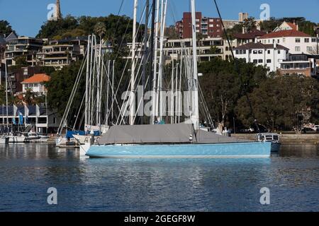 Sydney, Australie. Vendredi 20 août 2021. Vues générales sur les yachys amarrés dans le port de Sydney au Rushcutters Bay Park. Le programme d'éclusage de Sydney a été prolongé jusqu'au 30 septembre dans la grande région de Sydney, le nombre de cas de déformation Delta COVID-19 continuant d'augmenter. Les masques faciaux sont désormais obligatoires à l'extérieur dans toute la Nouvelle-Galles du Sud, sauf s'ils font Crédit : Paul Lovelace/Alamy Live News Banque D'Images