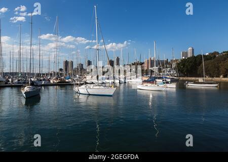 Sydney, Australie. Vendredi 20 août 2021. Vues générales sur les yachys amarrés dans le port de Sydney au Rushcutters Bay Park. Le programme d'éclusage de Sydney a été prolongé jusqu'au 30 septembre dans la grande région de Sydney, le nombre de cas de déformation Delta COVID-19 continuant d'augmenter. Les masques faciaux sont désormais obligatoires à l'extérieur dans toute la Nouvelle-Galles du Sud, sauf s'ils font Crédit : Paul Lovelace/Alamy Live News Banque D'Images