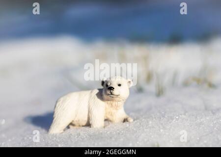 Figurine Polar Bear Banque D'Images