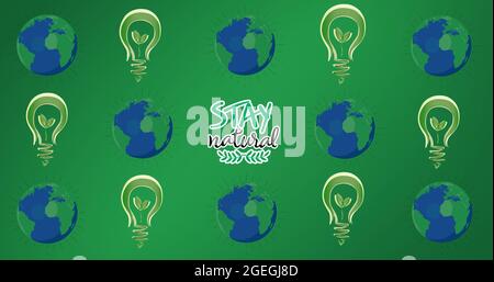 Composition de texte naturel de séjour, avec de multiples ampoules et globes de plantes sur fond vert Banque D'Images