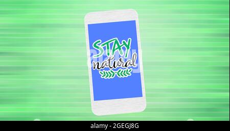 Composition de texte « Stay Natural » et logo « Leaf » sur l'écran bleu du smartphone, sur des bandes vertes Banque D'Images