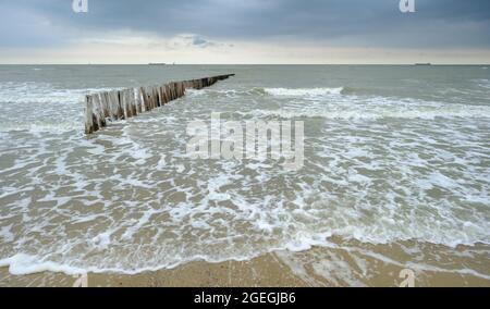 Pays-Bas, Cadzand: Mauvais temps au-dessus de la mer du Nord et brise-lames, poteaux en bois pour lutter contre l'érosion côtière Banque D'Images