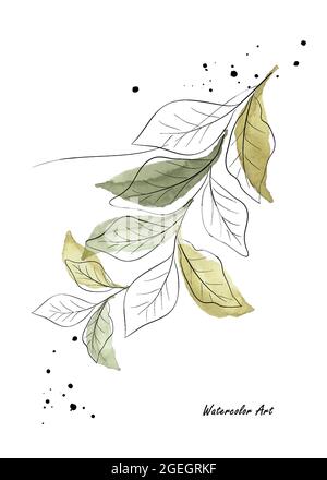 Carte d'invitation à l'aquarelle douce et naturelle de feuilles et de branches vertes. Aquarelle art botanique peinte à la main isolée sur fond blanc. Pinceau Illustration de Vecteur