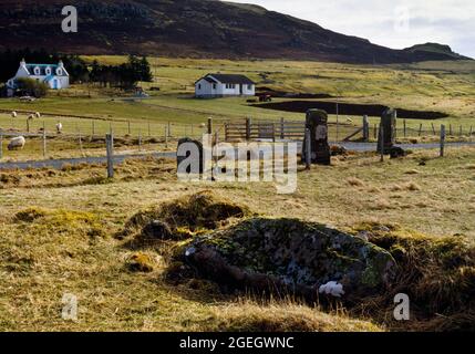 Voir l'ESE de Clachan Erisco, rangée de pierres ou cercle de pierres en ruines, Borve, Skye, Écosse, Royaume-Uni, Montrant une pierre similaire se trouvant dans une limite de champ à W. Banque D'Images