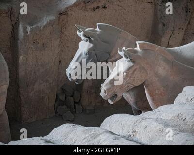 Chevaux de terre cuite dans la tombe du premier emporateur de la dynastie Qin des guerriers de terre cuite dans le comté de Lintong, Shaanxi, Xi'an, Chine, Asie Banque D'Images