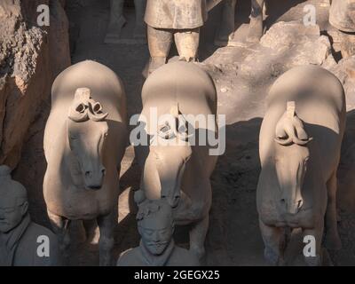 Chevaux de terre cuite dans la tombe du premier emporateur de la dynastie Qin des guerriers de terre cuite dans le comté de Lintong, Shaanxi, Xi'an, Chine, Asie Banque D'Images