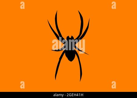 Silhouette d'une araignée noire sur un fond orange. L'insecte est au centre de l'illustration. Banque D'Images