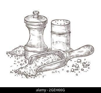 Sel de mer. Assaisonnement à croquis, saupoudreuse à poivre et cuillère à poudre. Emballage en verre, épice ustensiles de cuisine ingrédients illustration vectorielle Illustration de Vecteur