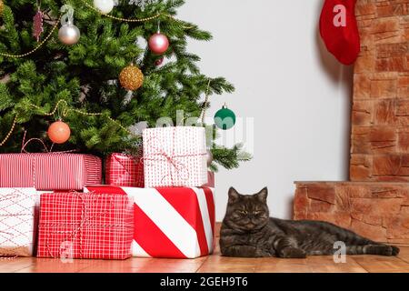 Arbre de Noël avec des cadeaux et un chat noir. Gros plan. Banque D'Images