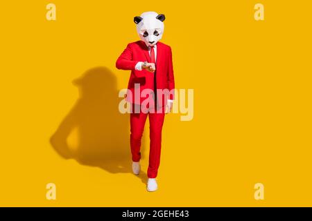 Photo de occupé fiable panda gars marche look montre porter masque rouge costume cravate baskets isolées sur fond jaune couleur Banque D'Images
