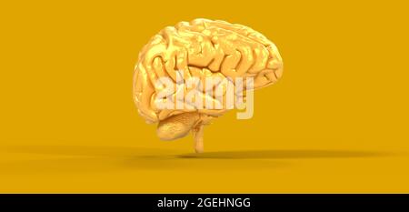 Illustration polygonale du cerveau 3D sur fond jaune Banque D'Images