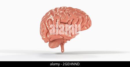 Illustration polygonale du cerveau 3D sur fond blanc Banque D'Images
