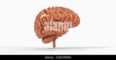 Illustration polygonale du cerveau 3D sur fond blanc Banque D'Images