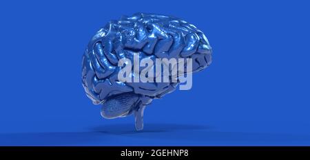 Illustration polygonale du cerveau 3D sur fond bleu Banque D'Images