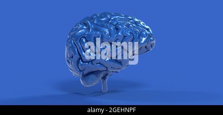 Illustration polygonale du cerveau 3D sur fond bleu Banque D'Images