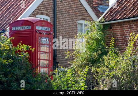 Une boîte téléphonique rouge britannique traditionnelle qui se trouve dans un village de Suffolk, dans un écrin de verdure Banque D'Images