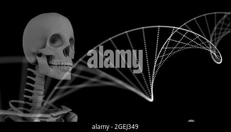 Image numérique de la structure de l'adn qui tourne contre le modèle du squelette humain sur fond noir Banque D'Images