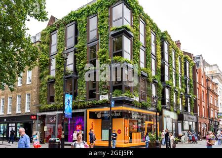 LONDRES À LONG ACRE ET JAMES STREET COVENT GARDEN LE MUR VERT UN BÂTIMENT COUVERT DE FOUGÈRES HERBES ET PLANTES Banque D'Images