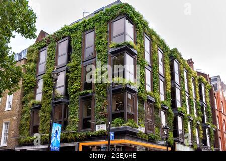 LONDON LONG ACRE ET JAMES STREET COVENT GARDEN LE MUR VERT UN BÂTIMENT COUVERT DE FOUGÈRES HERBES ET PLANTES Banque D'Images