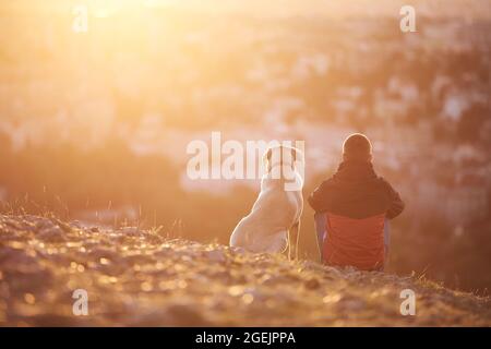 Vue arrière du jeune homme avec chien au lever du soleil. Propriétaire d'animal de compagnie assis avec son chien sur une colline contre la ville. Banque D'Images