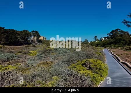 Route de Crossstown à travers la vallée de Lobos, San Francisco, Californie, États-Unis Banque D'Images