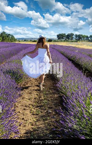 Jeune femme vue de derrière marchant au milieu d'un champ de lavande. Elle porte une longue robe blanche et un chapeau de paille. Banque D'Images