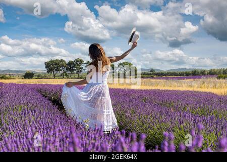 Une jeune femme vue de derrière joue avec sa longue robe blanche au milieu d'un champ de lavande fleuri. De beaux contrastes de violet, jaune, bleu a Banque D'Images