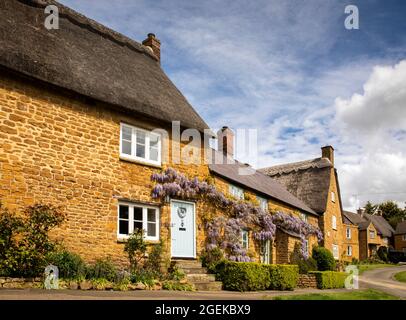 Royaume-Uni, Angleterre, Oxfordshire, Wroxton, main Street, Wisteria en fleur au-dessus des portes de jolis cotswold cottages en pierre sur le village vert Banque D'Images