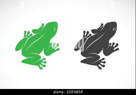 Motif vectoriel de grenouilles sur fond blanc. Amphibiens. Animal. Illustration vectorielle superposée facile à modifier. Illustration de Vecteur